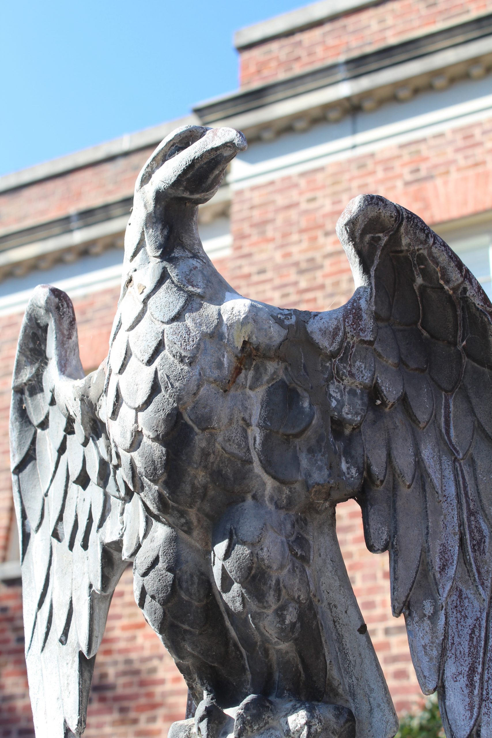 Eagle Statue on a Street