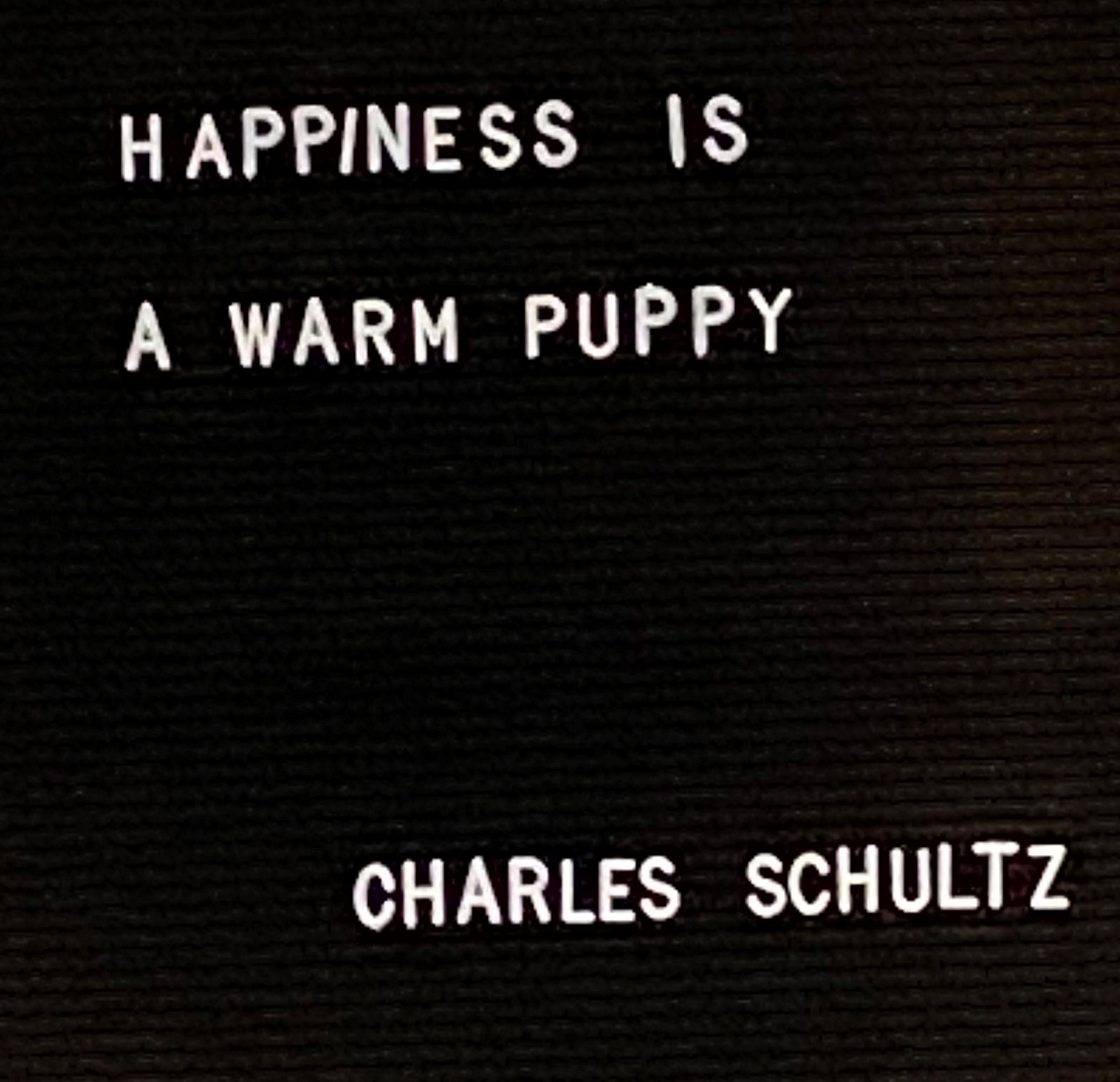 Charles Schultz Quote about Happiness