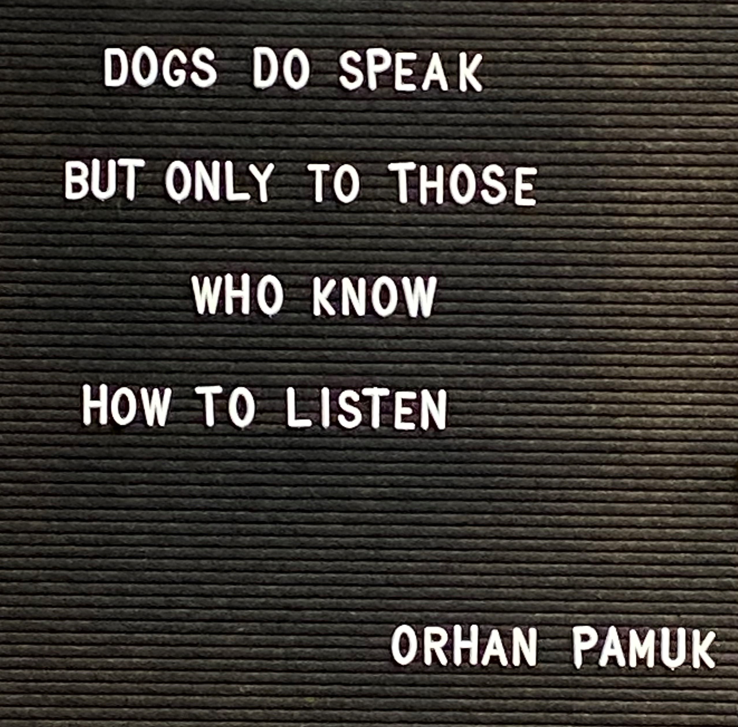 Orhan Pamuk Quote About Dogs